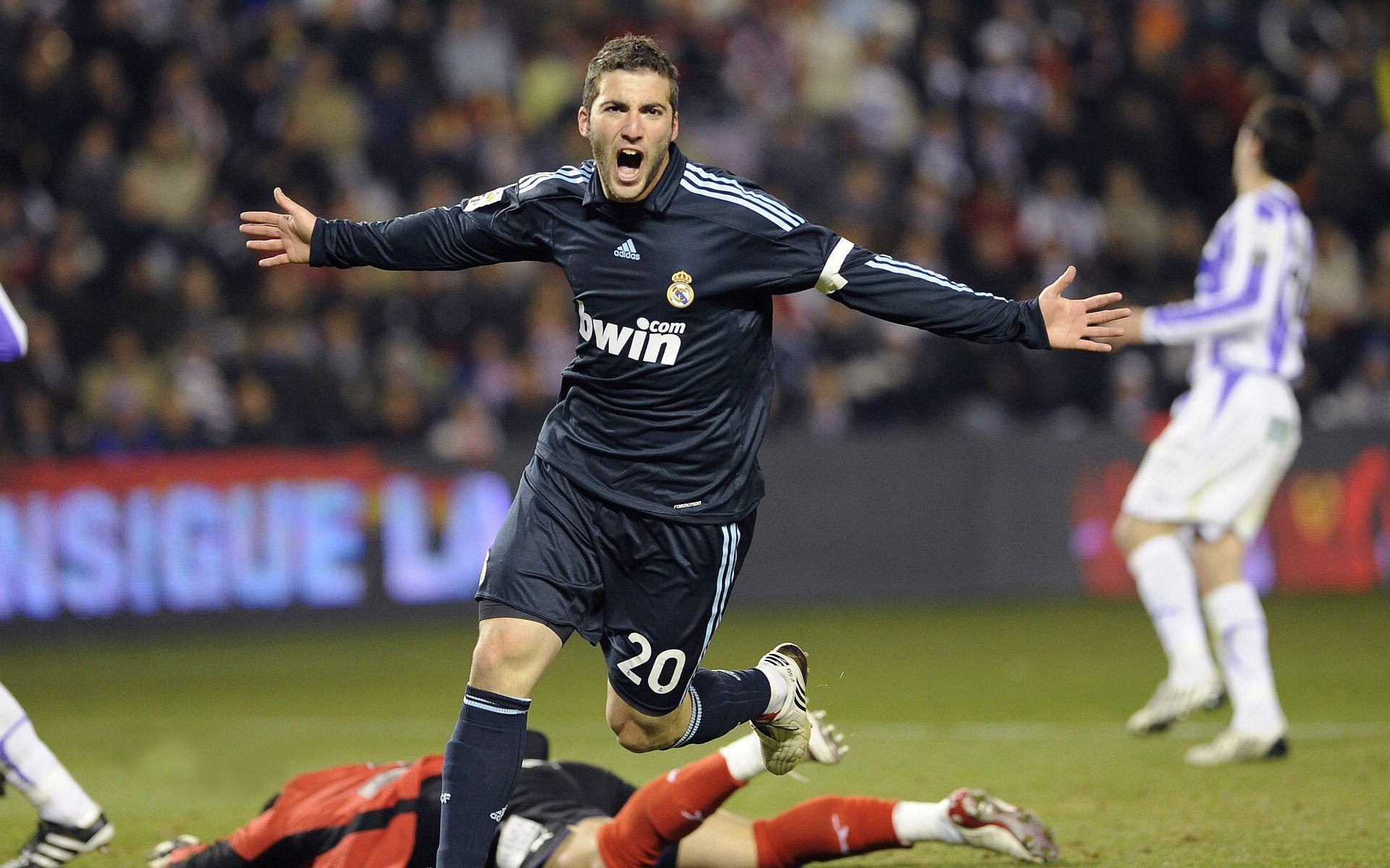 猛龙队在主场迎来胜利，士气大振，猛龙队球场